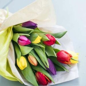 Tulips Flowers Dozen